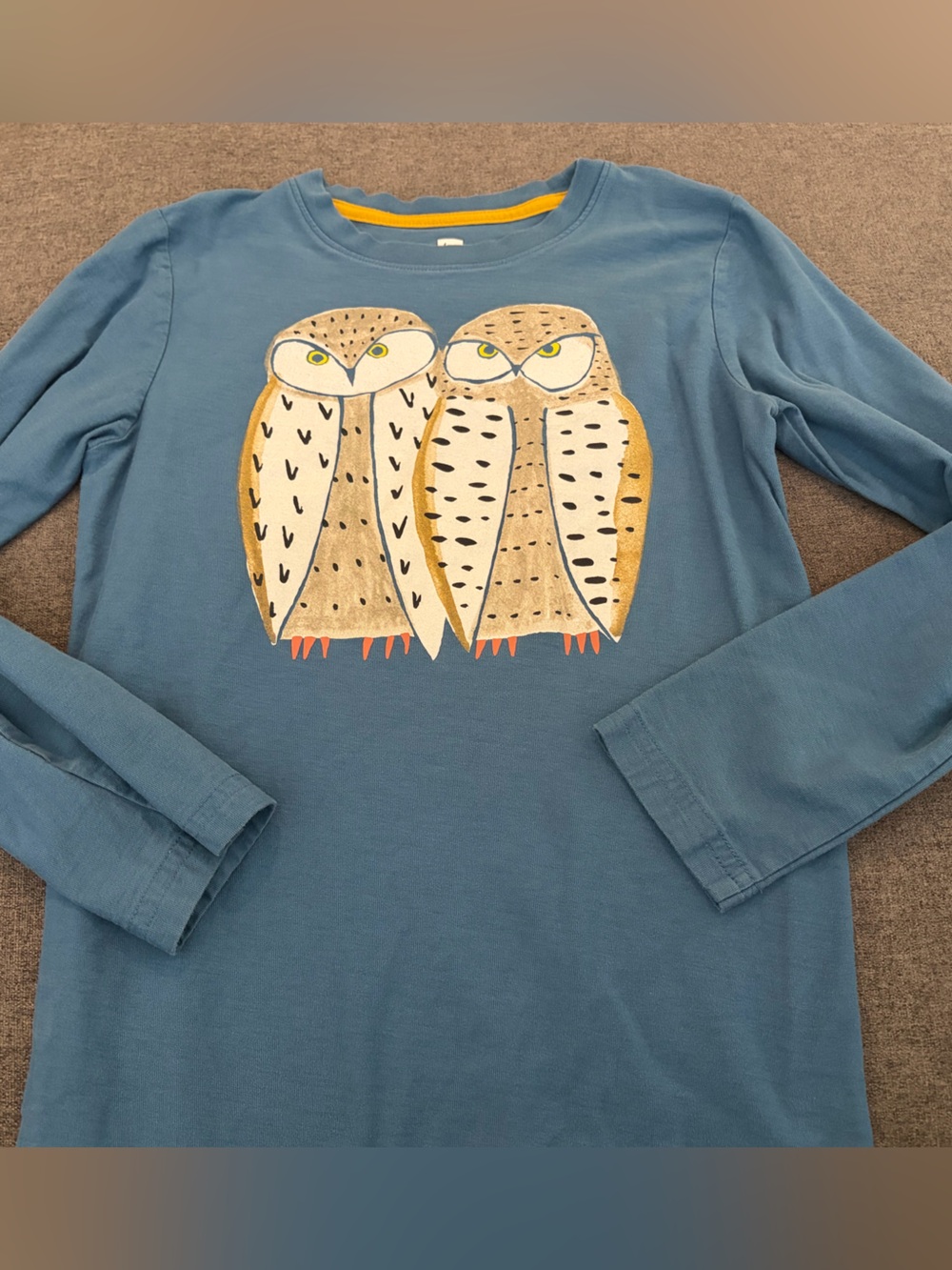 Tea Collection Blue Long-Sleeve Owl Tee